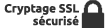 ssl icon